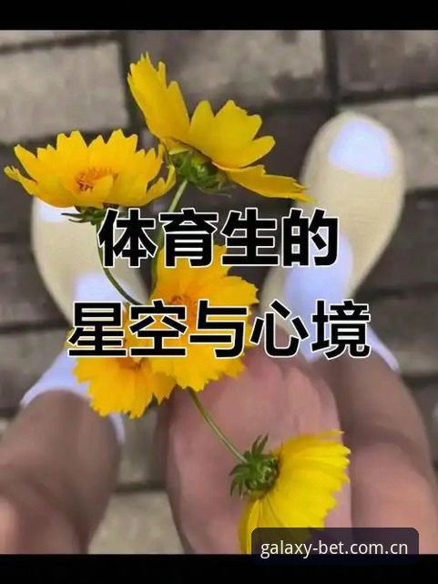 星空体育畅享体育到底值不值得下？一个实战派用户的操作复盘