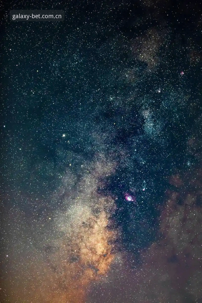 资深用户分享星空体育登录入口使用心得：从注册到赛事追踪的完整体验